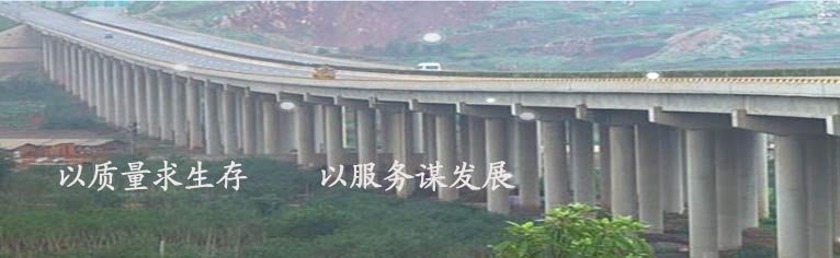 2X型旋片真空泵