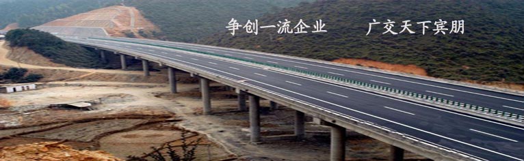 羅茨真空泵系列